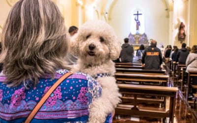 Met je huisdier naar de kerk op de Dag van San Antonio