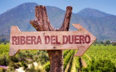 10 x wijnbodega’s bezoeken in Ribera del Duero